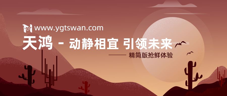 动静相宜，引领未来——远光天鸿1月1日正式上线！